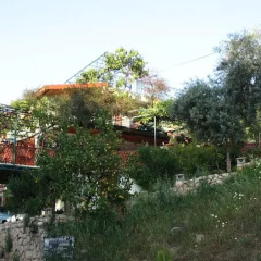 St. Nicholas Pension Турция, Патара - отзывы, цены и фото номеров - забронировать отель St. Nicholas Pension онлайн фото 4