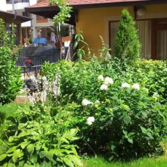 Отель Suite Kremena Болгария, Свети Влас - отзывы, цены и фото номеров - забронировать отель Suite Kremena онлайн фото 4