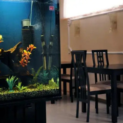 Гостиница Odissey Guest House развлечения