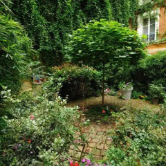 Отель Les Patios du Marais 1