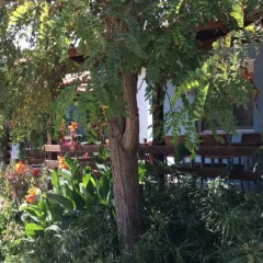 Отель Malama Rooms