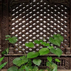 Отель Anadu House Непал, Покхара - отзывы, цены и фото номеров - забронировать отель Anadu House онлайн спа