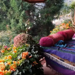 Отель Anadu House Непал, Покхара - отзывы, цены и фото номеров - забронировать отель Anadu House онлайн фото 4