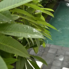 Отель Alia Home Sanur Индонезия, Бали - отзывы, цены и фото номеров - забронировать отель Alia Home Sanur онлайн