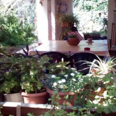 Отель Garden Fiorella Италия, Чинизи - отзывы, цены и фото номеров - забронировать отель Garden Fiorella онлайн помещение для мероприятий фото 2