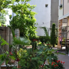 Отель Guest House Zagorovi Болгария, Аврен - отзывы, цены и фото номеров - забронировать отель Guest House Zagorovi онлайн