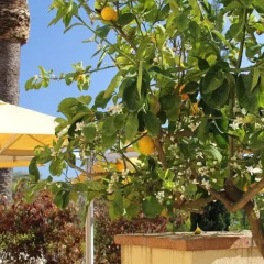 Отель B&B Il Sentiero Сиракуза фото 12