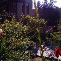 Отель Lycian Way Pension Патара