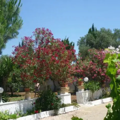 Отель Casa SanSiSa Лечче фото 3