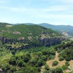 Отель B&B Sa Contissa Ористано