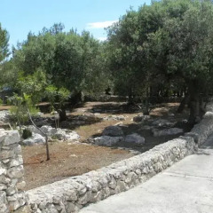 Отель Abitare In Salento Гальяно дель Капо