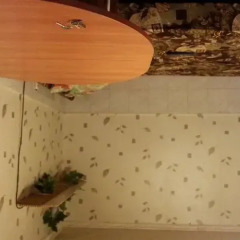 Гостиница Guest House Palma развлечения