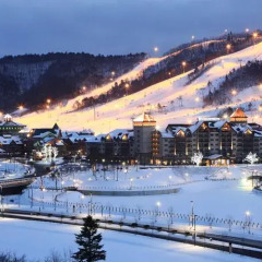 Отель InterContinental Pyeongchang Resort Alpensia Южная Корея, Пхёнчан - отзывы, цены и фото номеров - забронировать отель InterContinental Pyeongchang Resort Alpensia онлайн спортивное сооружение