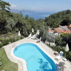 Alya Villa Hotel бассейн фото 2