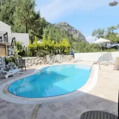 Alya Villa Hotel бассейн фото 3
