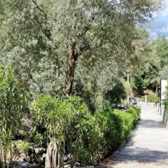 Alya Villa Hotel