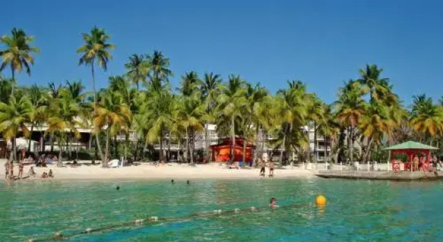 Location Les Flamboyants