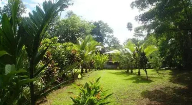 Corcovado Guest House, Забронировать Гостевой дом Гостевые дома Пунтаренаса, Гостевой дом