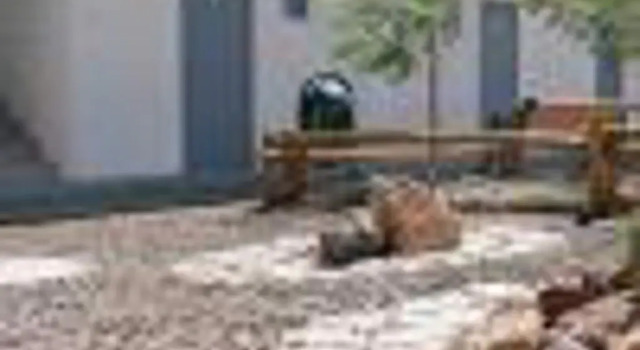 Oasis Eco Hotel, Boek Hotel Calama Antofagasta