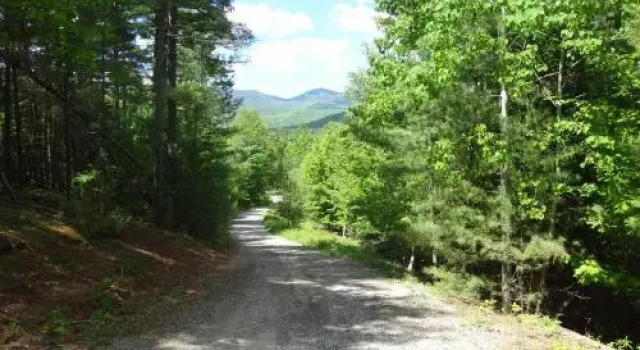 Lake Placid & Whiteface Ebs View Lodge, 预订 酒店 上杰伊 Whiteface Mountain