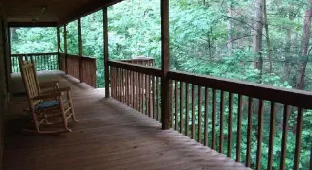 Into the Wild Cabin - 2 Br Cabin