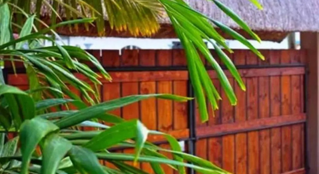 Hems Villa - LV039, Prenota Villa Grand Baie Mauritius Costa Nord
