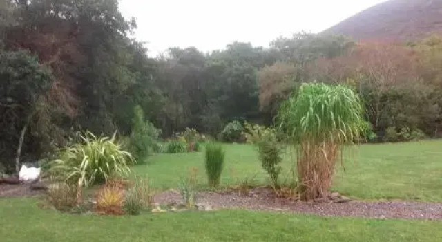 Victorias house, Book Bed and Breakfast Hotels in Kerry with Parking, Parking
