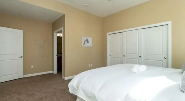 Heart of Downtown Cleveland Corporate Rentals, Забронировать Отель Бизнес-отели Кливленда, рядом с Торговый комплекс Galleria at Erieview, 4* 5*