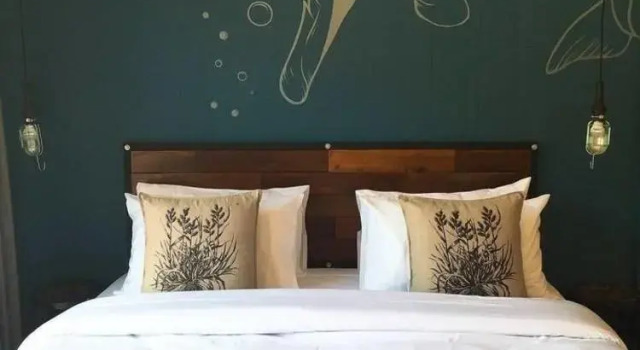 Guestroom 401