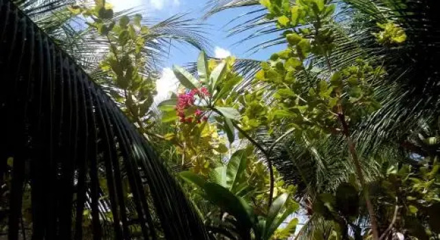 Pousada Aquarela, Reserva ahora Hotel Hoteles en Noreste de Brasil con aparcamiento, Aparcamiento