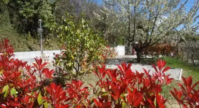 BB The Lodge, Book Hotel Hotels in Basilicata with Breakfast, Breakfasts