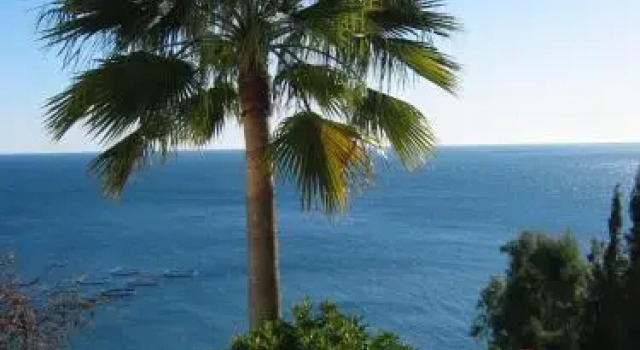 Casa Lobo