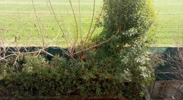 B&B LUpupa, Book Bed and Breakfast Bussolengo Veneto