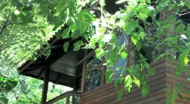 Tiki Bangalôs, 预订 酒店 弗洛里亚诺波利斯 South of Brazil