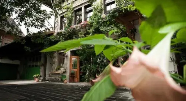 Gästehaus Guntersblum, Забронировать Отель Гунтерсблум земля Гессен