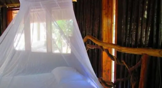 Chaya Maya Jungle Lodge, Réserver Hôtel Belmopan 