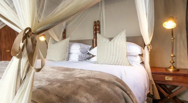 Tenda Camp Figtree