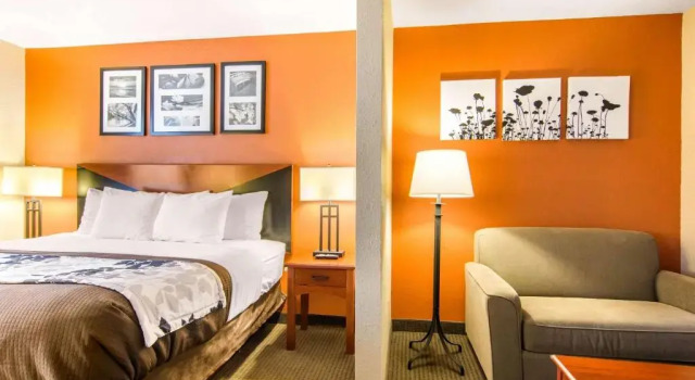 Люкс Sleep Inn & Suites Athens South