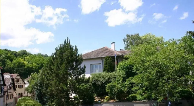 Номер Standard Meublé du vignoble - Piscine - Sauna - proche Strasbourg - Classé 3 étoiles
