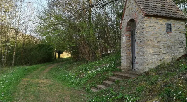Студия Apartment Schneeburg
