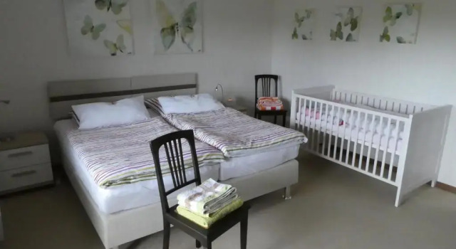 Апартаменты Ferienwohnung WällerAuszeit
