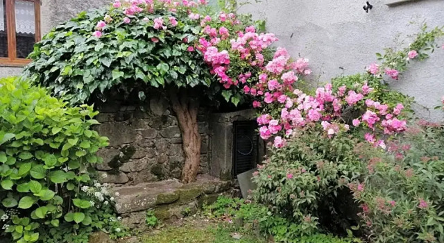 B&B Alle Ortensie Blu, Prenota Bed & breakfast Sesta Godano Liguria