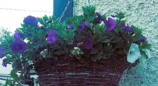 Castle Lodge B&B Kilkenny, Забронировать Отель Килкенни графство Килкенни