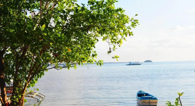 Кровать в общем номере Zhang Resort and Dive Center OPC