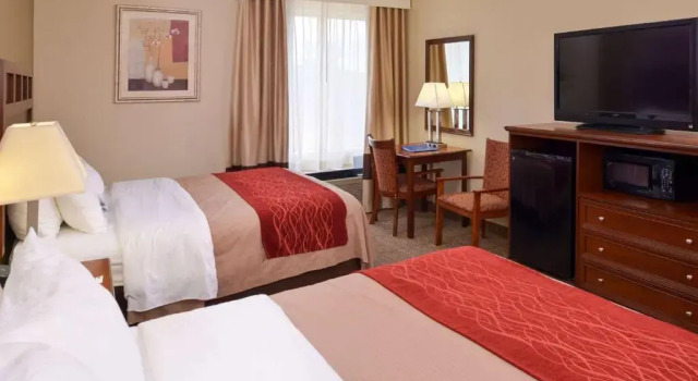 Четырёхместный номер Standard Comfort Inn Dickson