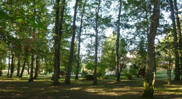 Коттедж Maison de Vacances MACOU 2