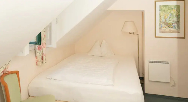 Одноместный номер Standard с балконом и с видом на сад Inselhotel Faakersee