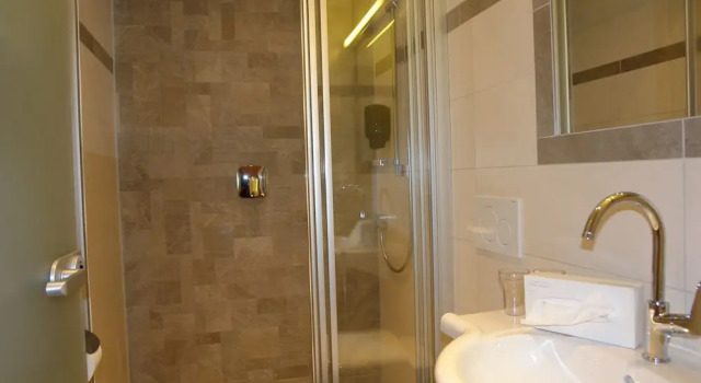 Номер Economy SonnenHOF hotel gerlos centrum