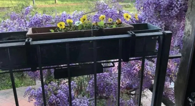 Country house, Reserva ahora Apartamento Caravate Lombardía