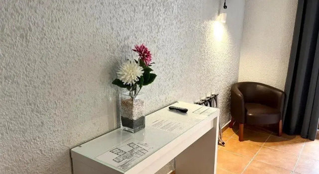 Одноместный номер Standard Hotel Acebo Plaza Mayor